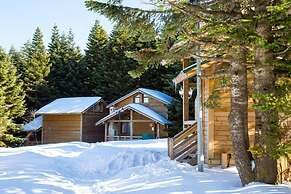 Uludag Orman Koskleri