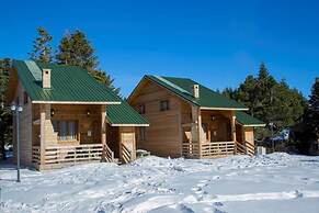 Uludag Orman Koskleri