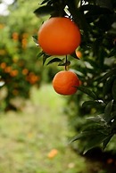 Hane-i Keyif Pension