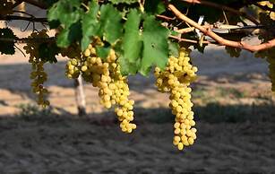 Hane-i Keyif Pension