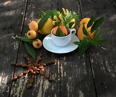 Hane-i Keyif Pension