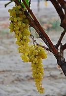 Hane-i Keyif Pension