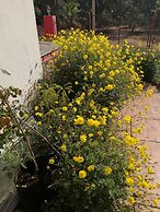 Sea Pearl Guest house