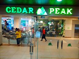 Cedar Peak Condominium by Tripsters Hub