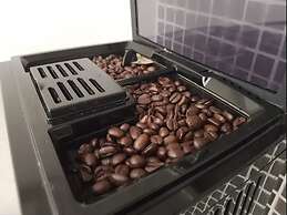 Melbourne by the Botanical Gardens