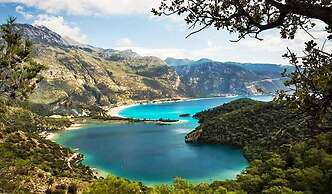 Green Forest Holiday Village