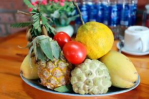 Ninh Binh Mountain View Homestay