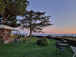 Le vigne
