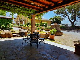 Le vigne