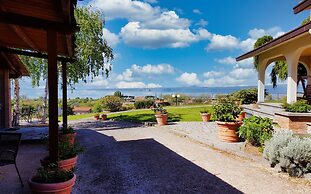 Le vigne
