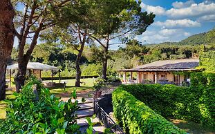 Le vigne