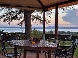 Le vigne