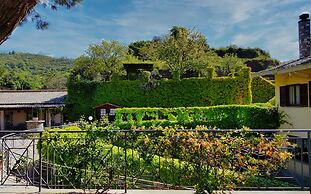 Le vigne