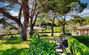 Le vigne
