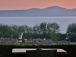 Le vigne