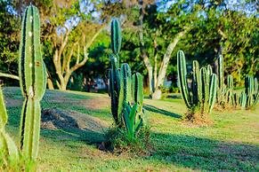 Katomi Kingdom Resort