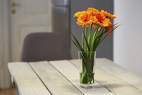 Big & Charming apartment in City Center