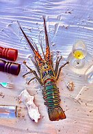 Taj Exotica Resort & Spa, Andamans