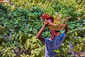 Taj Exotica Resort & Spa, Andamans