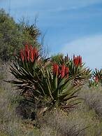 Matjiesvlei Retreat 1945
