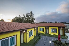 Brassica Flower Pension