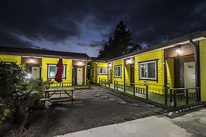 Brassica Flower Pension