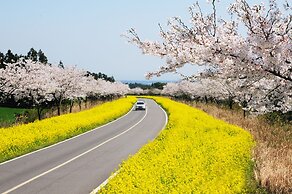 Brassica Flower Pension