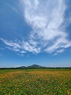 Brassica Flower Pension