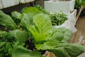 Urban House Saigon 2