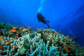 Premier Resort Cutty Sark