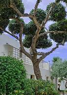 IridaChic Boutique Hotel & Spa