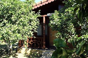 Cirali Merhaba Hotel