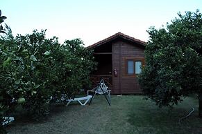 Cirali Merhaba Hotel