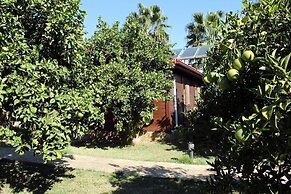 Cirali Merhaba Hotel