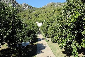 Cirali Merhaba Hotel