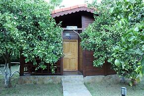 Cirali Merhaba Hotel