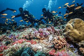 ROBINSON NOONU - All inclusive