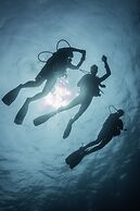 ROBINSON NOONU - All inclusive