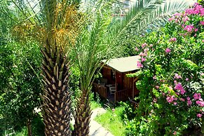 Kadir's Garden Adrasan