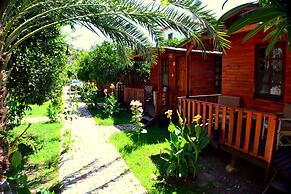 Kadir's Garden Adrasan