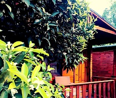 Kadir's Garden Adrasan