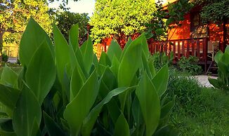 Kadir's Garden Adrasan