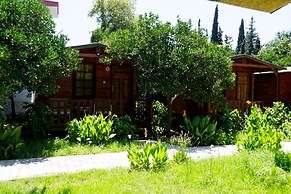 Kadir's Garden Adrasan