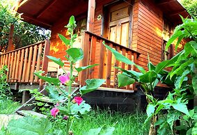 Kadir's Garden Adrasan