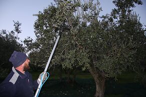 Il Casale nella Natura