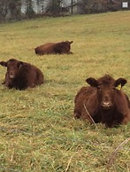 River Bluff Farm Bed & Breakfast