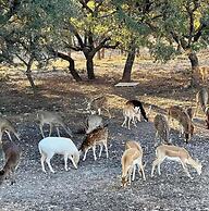 Cowboys and Angels Retreat