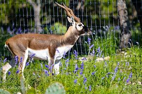 Cowboys and Angels Retreat