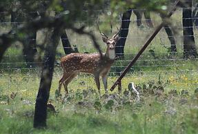 Cowboys and Angels Retreat