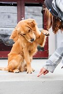 The Bunkhouse - Hostel